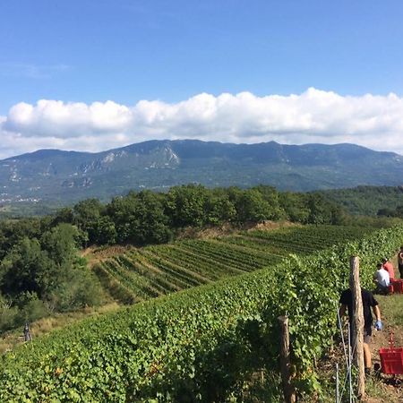 Kraljic - Primoz Cotar Bed & Breakfast Dornberk ภายนอก รูปภาพ