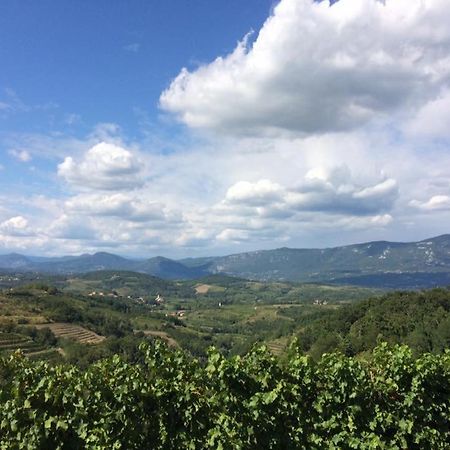 Kraljic - Primoz Cotar Bed & Breakfast Dornberk ภายนอก รูปภาพ