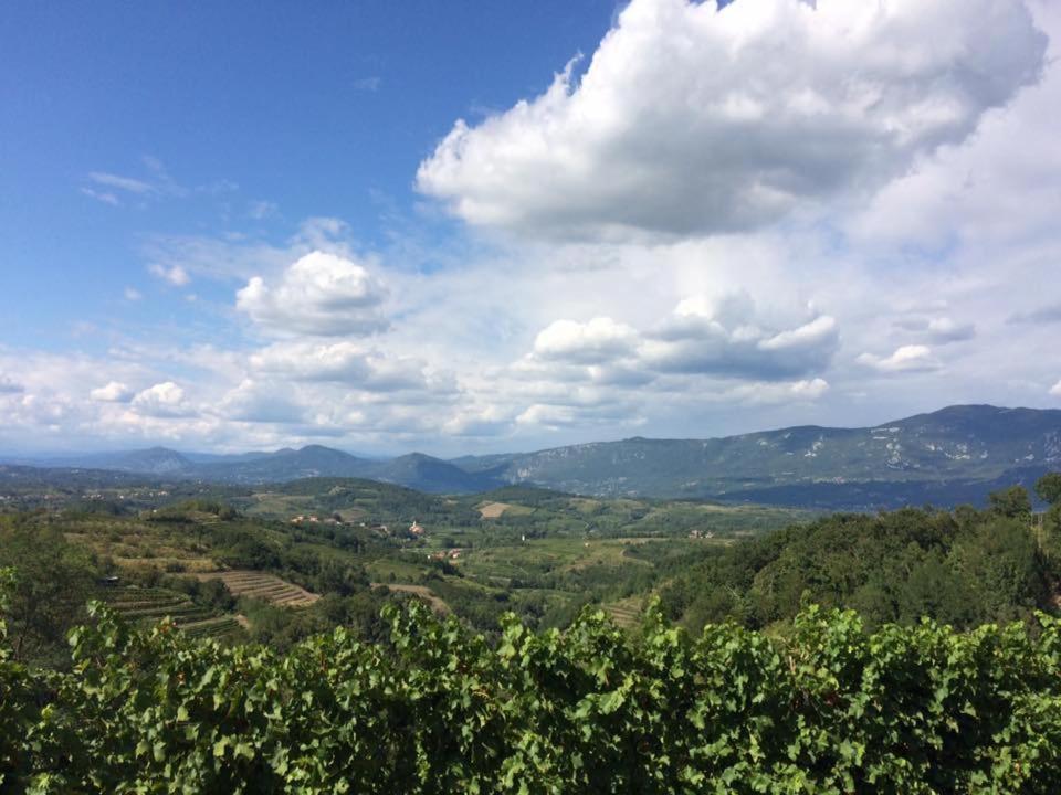 Kraljic - Primoz Cotar Bed & Breakfast Dornberk ภายนอก รูปภาพ